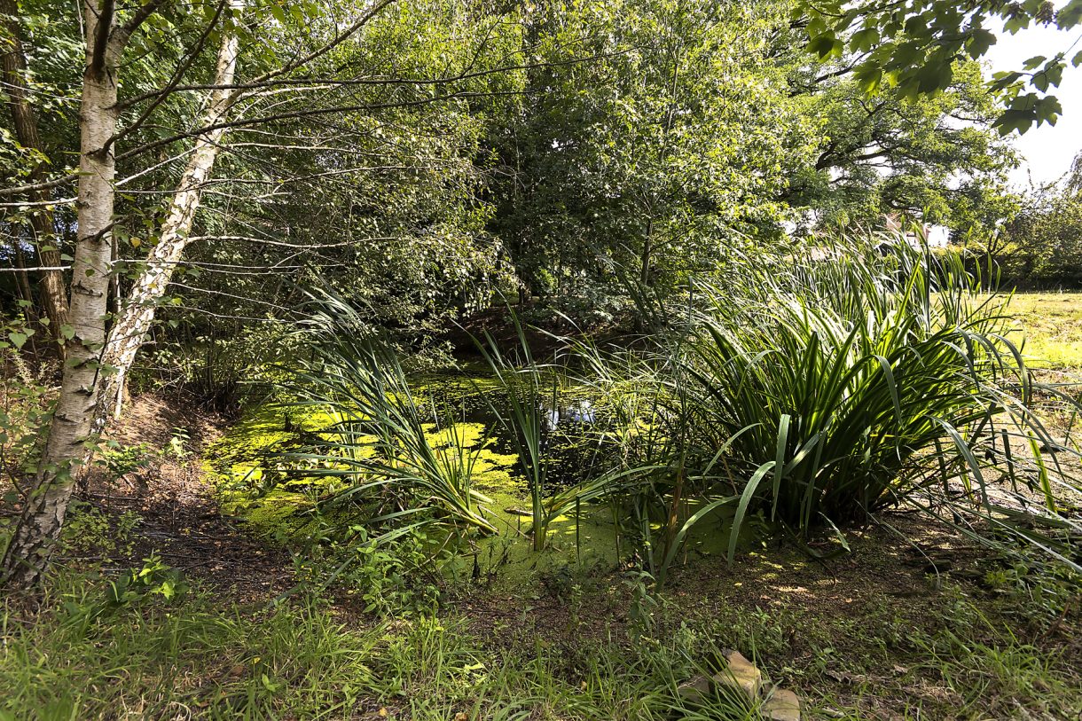 Te koop: Foto Woonhuis aan de Bosschebaan 16a in Velp