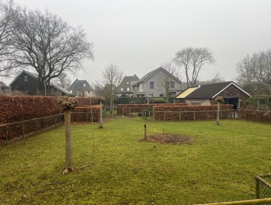 Hoofdfoto van Molenhoek Franciscanessenstraat ong