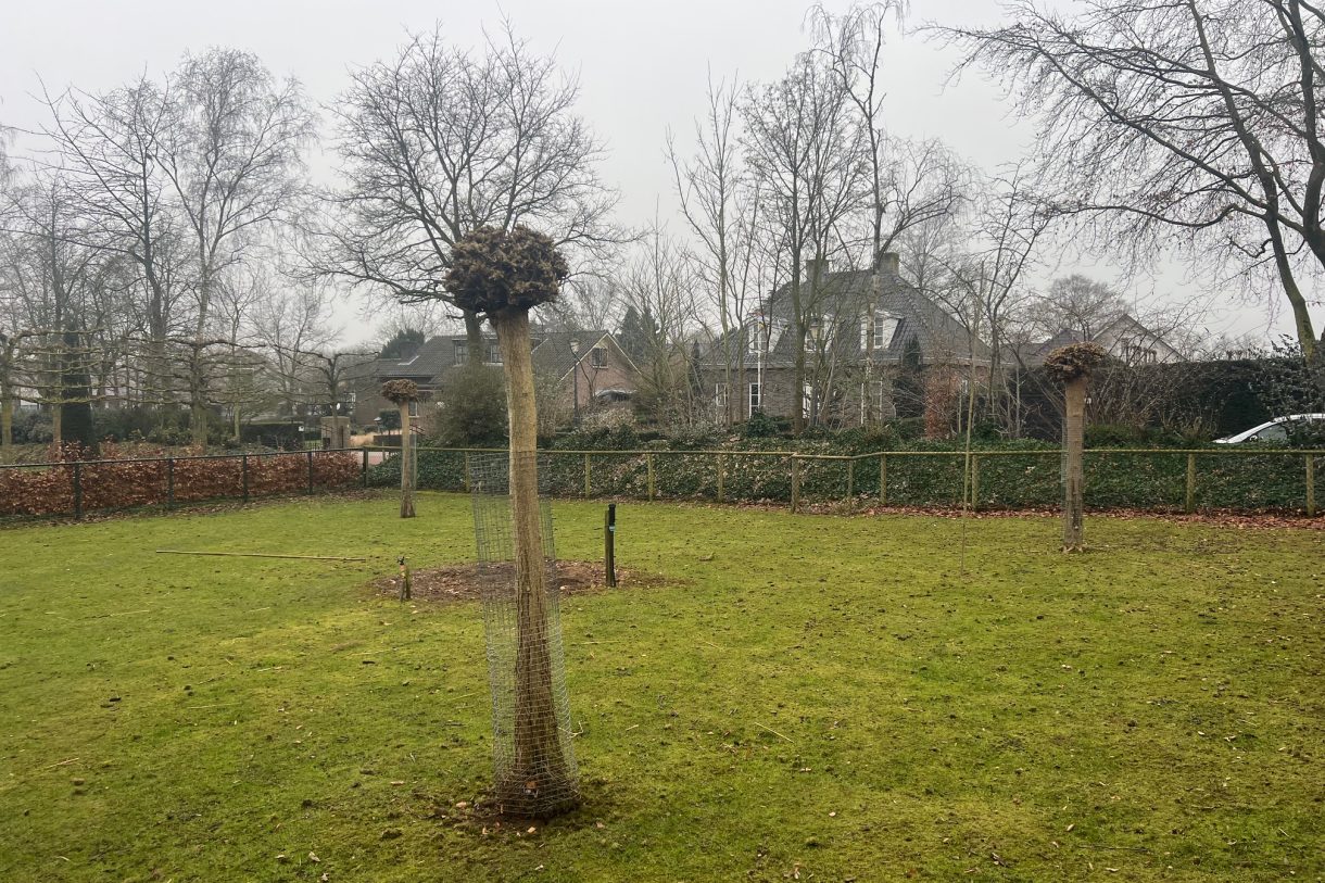 Te koop: Foto Bouwgrond aan de Franciscanessenstraat ong in Molenhoek
