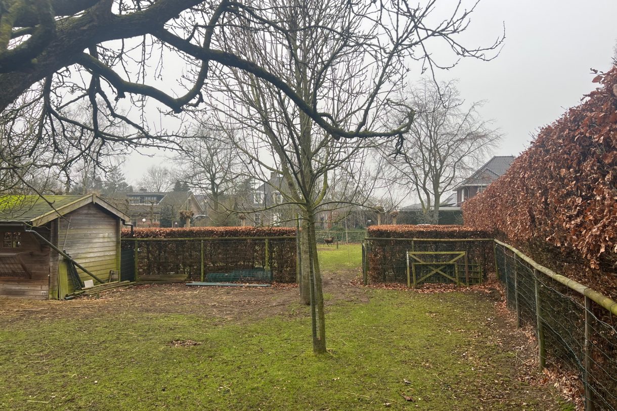 Te koop: Foto Bouwgrond aan de Franciscanessenstraat ong in Molenhoek