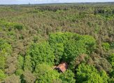 koop  Malden  Bosweg ong – Foto 16