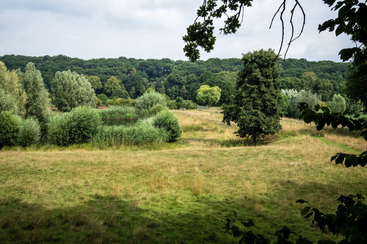 Te koop: Foto Woonhuis aan de Rijksweg 193 in Plasmolen