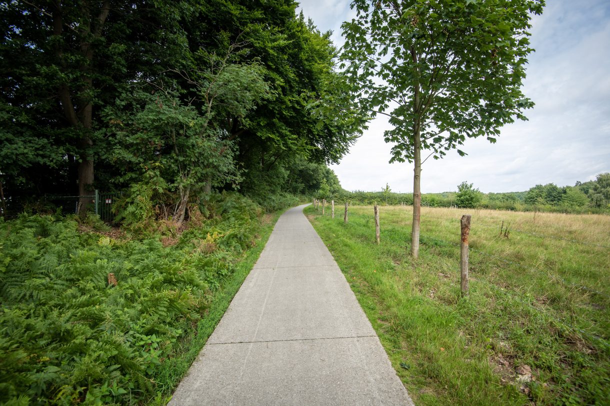 Te koop: Foto Woonhuis aan de Rijksweg 193 in Plasmolen