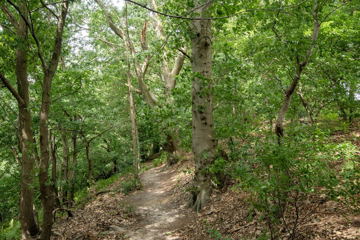 Te koop: Foto Woonhuis aan de Rijksweg 193 in Plasmolen