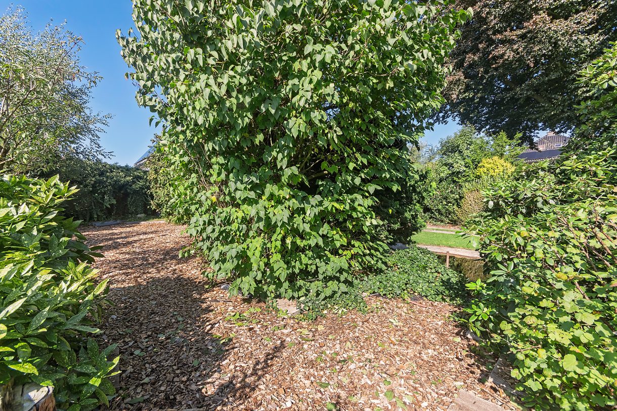 Te koop: Foto Woonhuis aan de Herwendaalseweg 28 in Groesbeek