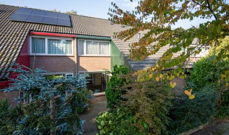 Hoofdfoto van Malden De Vlier 6