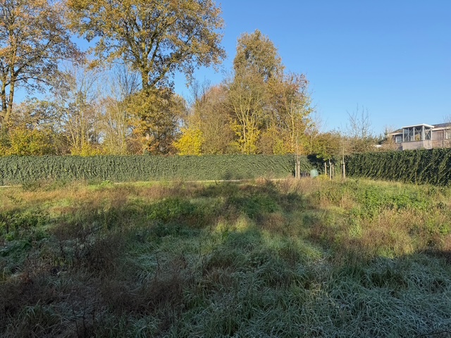 Hoofdfoto van Malden Droogsestraat ong